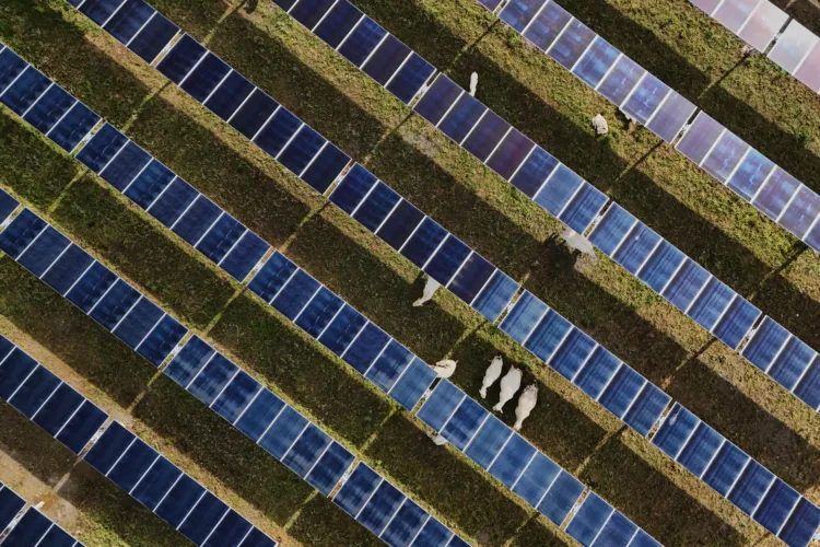 The Iran war is driving clean energy development. It’s not enough  to help the planet, yet